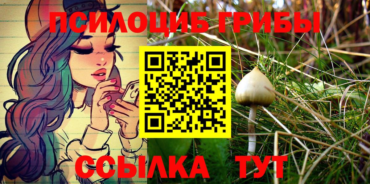 Псилоцибиновые грибы Magic Shrooms Янаул
